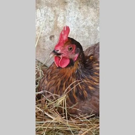 Nyaraló Haus Burbach Bad Camberg