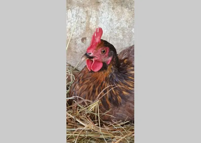 Casa vacanze Haus Burbach Bad Camberg